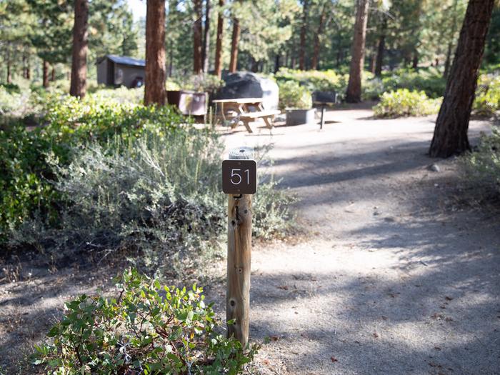 Campsite #51 tree shaded area, picnic tableCampsite #51