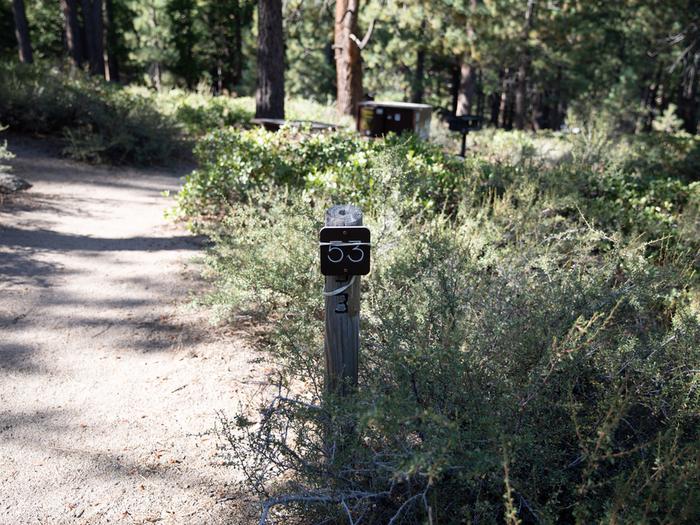 Campsite #53 tree shaded area, picnic tableCampsite #53