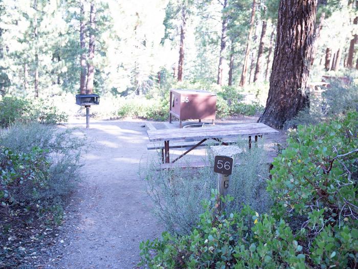 Campsite #56 tree shaded area, picnic tableCampsite #56