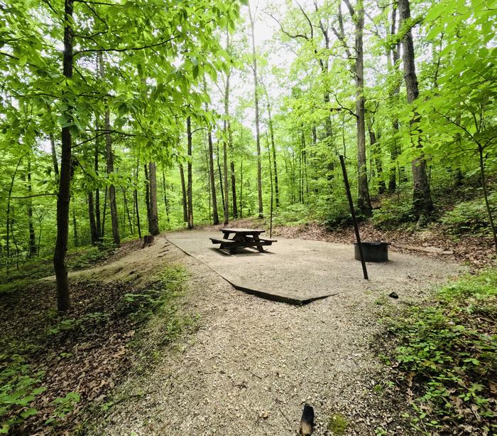 A photo of Site 30 of Loop Koomer Ridge at KOOMER RIDGE CAMPGROUND with Picnic Table, Fire Pit, Shade, Tent Pad, Lantern Pole