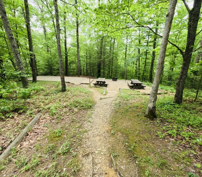 A photo of Site 44 of Loop Koomer Ridge at KOOMER RIDGE CAMPGROUND with Picnic Table, Fire Pit, Shade, Tent Pad, Lantern Pole