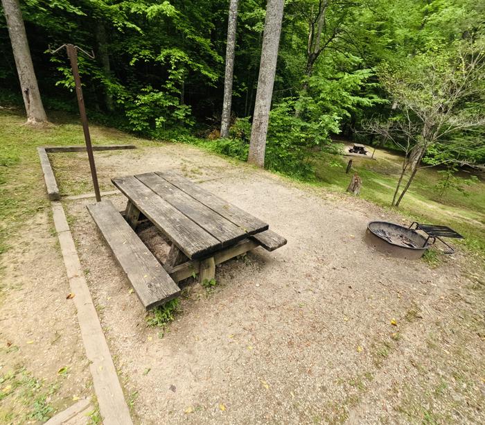 A photo of Site 48 of Loop Koomer Ridge at KOOMER RIDGE CAMPGROUND with Picnic Table, Fire Pit, Shade, Tent Pad, Lantern Pole