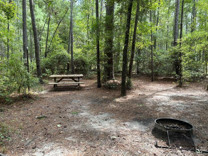 A photo of Site IS11 of Loop Longleaf at Longleaf Campground with Picnic Table, Fire Pit, Shade, Lantern Pole