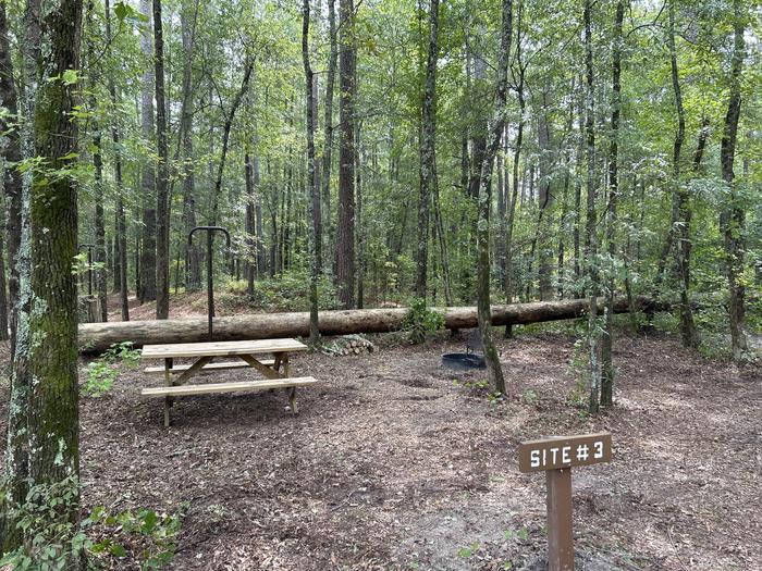 A photo of Site IS03 of Loop Longleaf at Longleaf Campground with Picnic Table, Fire Pit, Shade, Lantern Pole