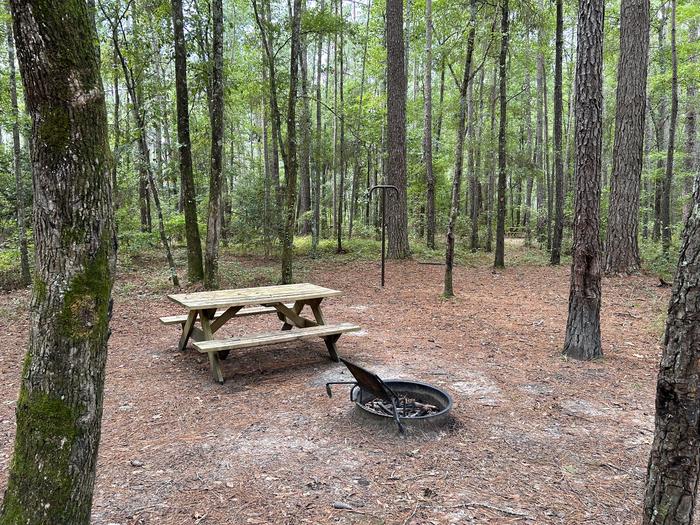 A photo of Site IS09 of Loop Longleaf at Longleaf Campground with Picnic Table, Fire Pit, Shade, Lantern Pole