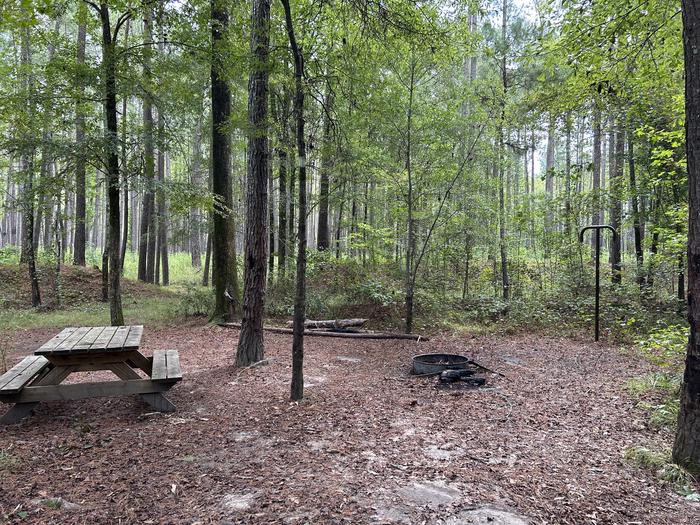 A photo of Site IS12 of Loop Longleaf at Longleaf Campground with Picnic Table, Fire Pit, Shade, Lantern Pole