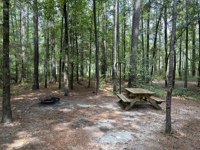 A photo of Site IS07 of Loop Longleaf at Longleaf Campground with Picnic Table, Fire Pit, Shade, Lantern Pole