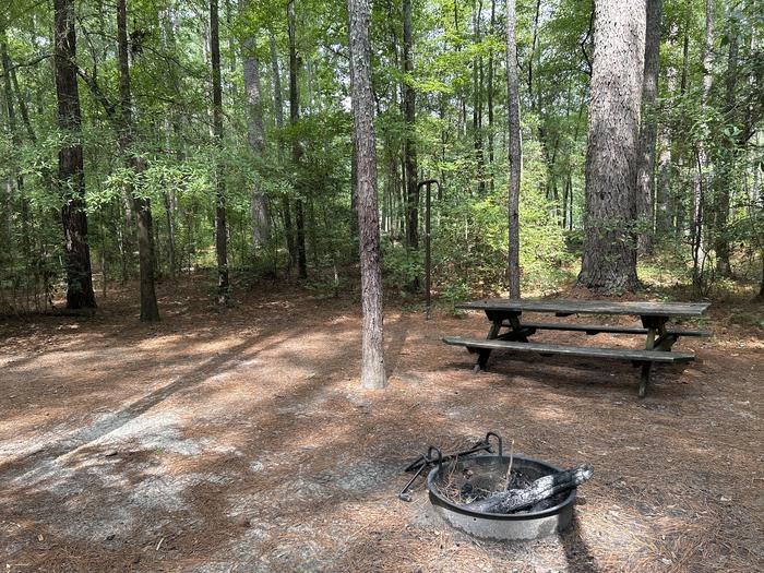 A photo of Site IS06 of Loop Longleaf at Longleaf Campground with Picnic Table, Fire Pit, Shade, Lantern Pole