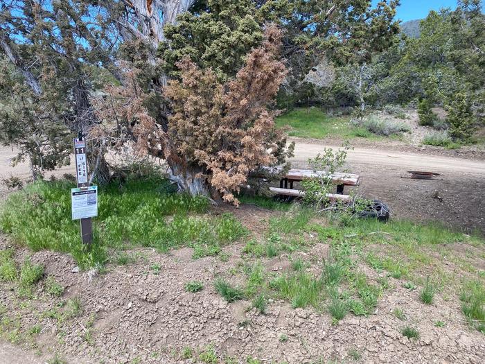 Campsite 11Site 11 is tucked away with ample shade and protection from the wind