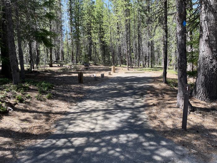 A photo of Site 001 of Loop POOLE CREEK at POOLE CREEK with Picnic Table, Fire Pit, Shade