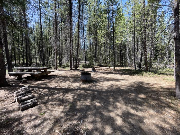 A photo of Site 001 of Loop POOLE CREEK at POOLE CREEK with Picnic Table, Fire Pit, Shade