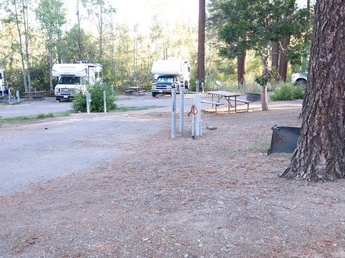 Campsite #120 RV