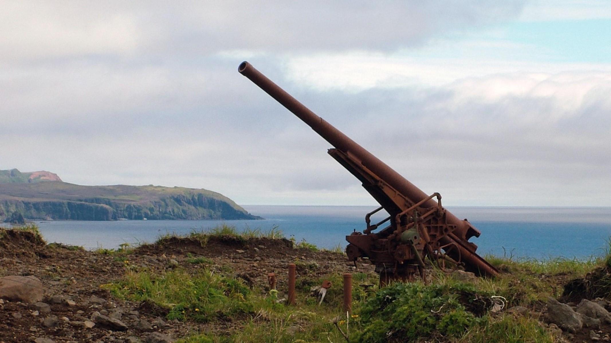 Anti-aircraft Gun Artifact