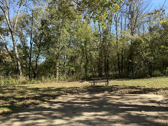 A photo of Site 824 of Loop Loop 800 at ALLEY SPRING with Picnic Table, Fire Pit, Shade, Lantern Pole