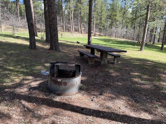 Table and Fire Ring in Site 33Picnic Area in Site 33