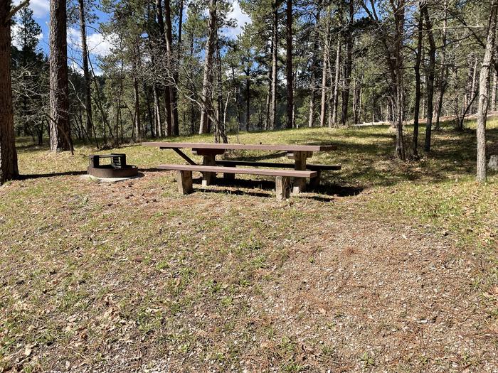Table and Fire Ring in Site 32Picnic Area in Site 32