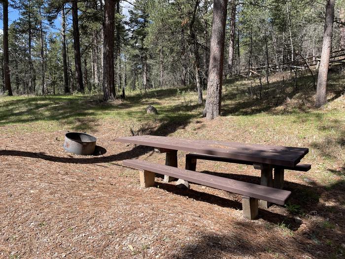 Table and Fire Ring in Site 31Picnic Area in Site 31