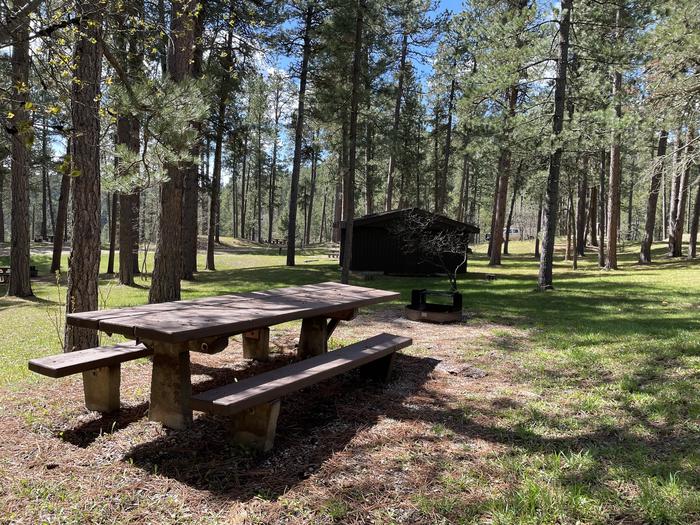 Table and Fire Ring in Site 29Picnic Area in Site 29