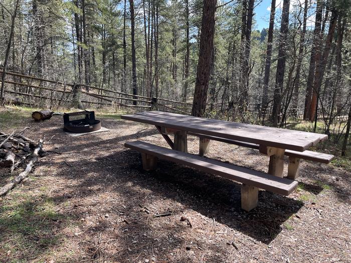 Table and Fire Ring in Site 28Picnic Area in Site 28
