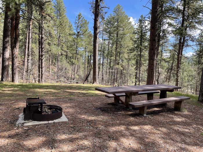 Table and Fire Ring in Site 26Picnic Area in Site 26