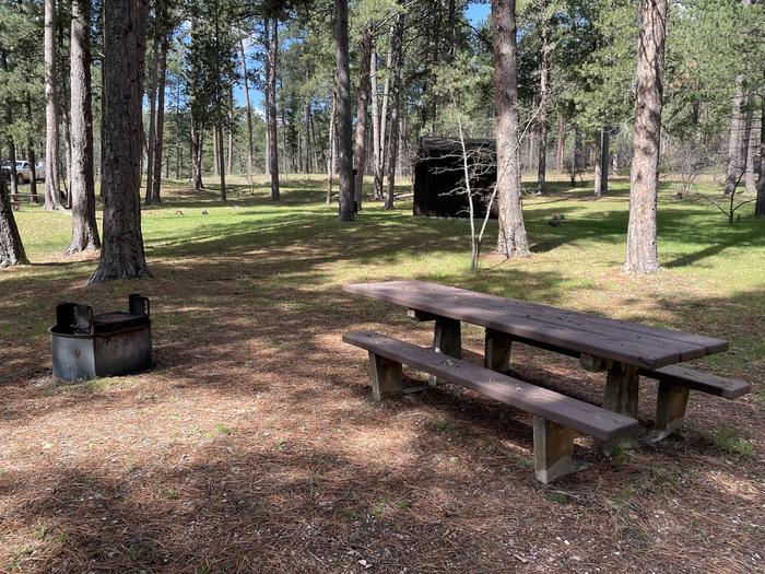 Table and Fire Ring in Site 25Picnic Area in Site 25