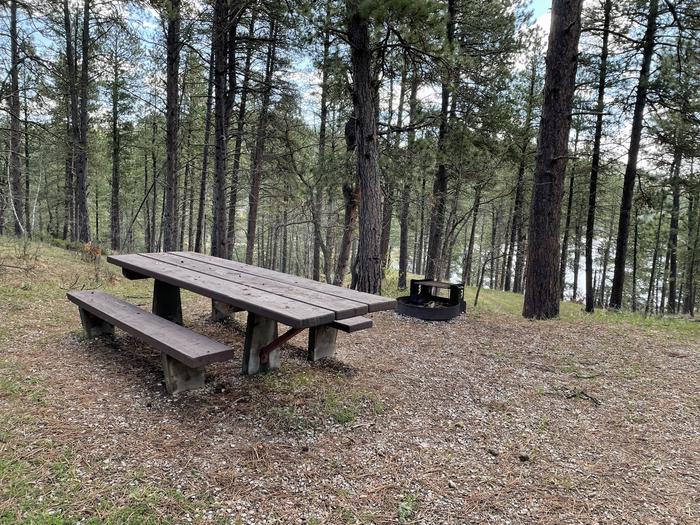 Table and Fire Ring in Site 23Picnic Area in Site 23