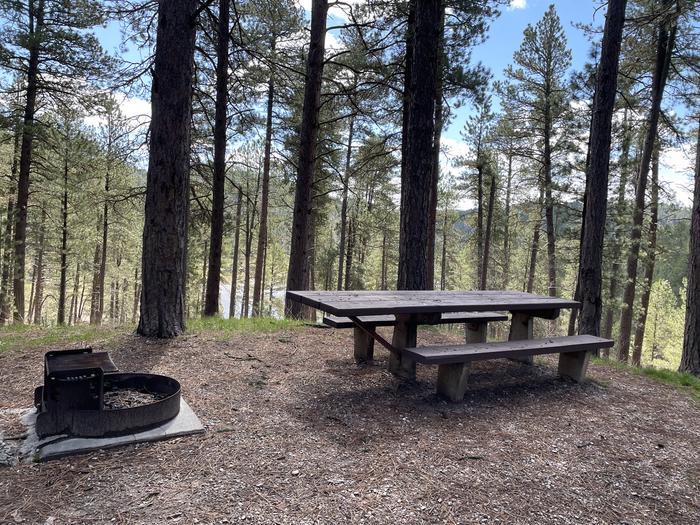 Table and Fire Ring in Site 22Picnic Area in Site 22