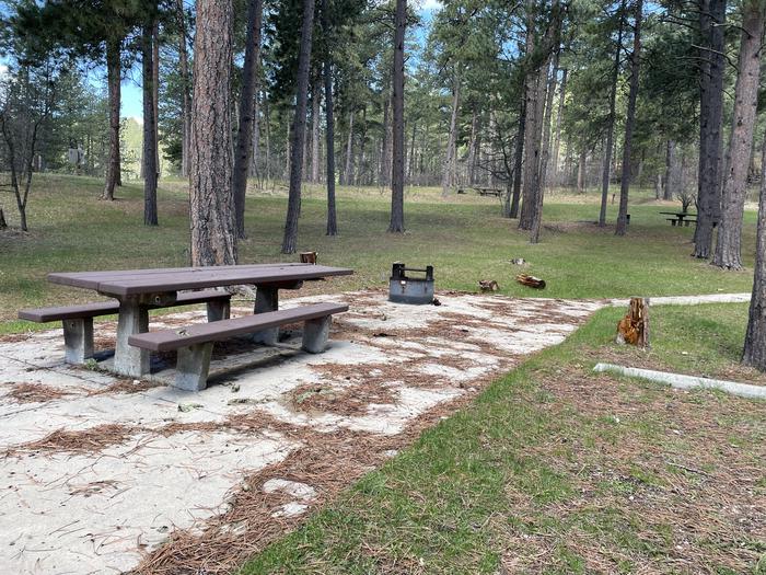 Table and Fire RIng in Site 21Accessible Picnic Area in Site 21 with Easy Access to Bathroom Facility