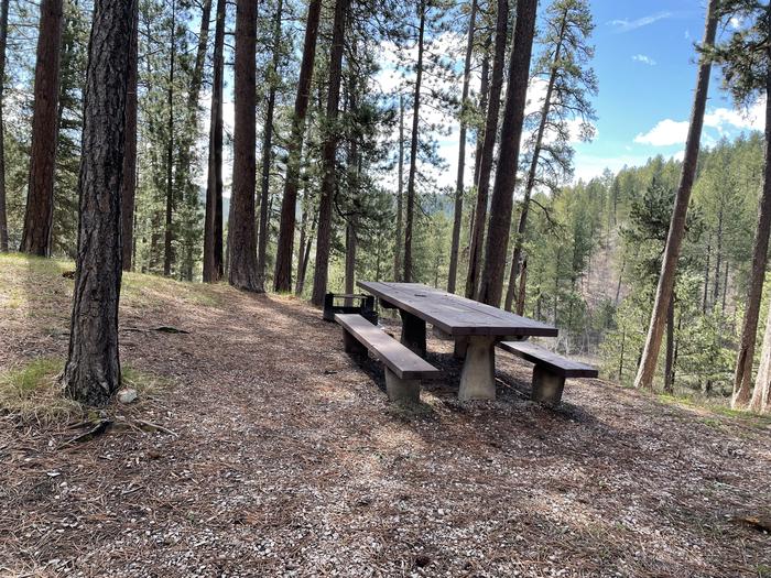 Table and Fire Ring in Site 20Picnic Area in Site 20