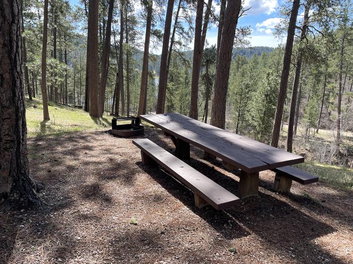 Table and Fire Ring at Site 19Picnic Area at Site 19