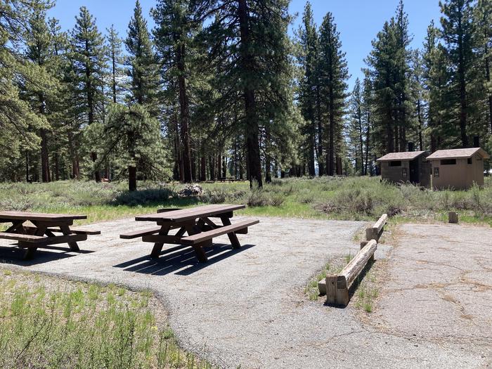 A photo of Site 005 of Loop AREA LIGHTNING TREE at LIGHTNING TREE with Picnic Table, Fire Pit, Tent Pad