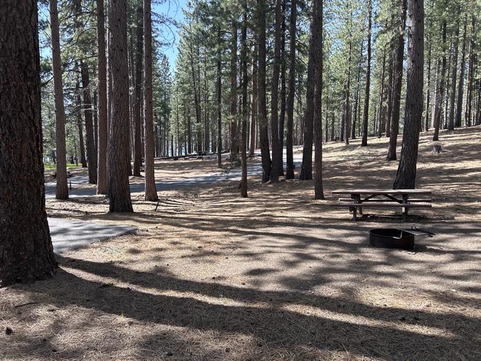 A photo of Site 026 of Loop LOO1 at GRASSHOPPER FLAT with Picnic Table, Fire Pit, Shade