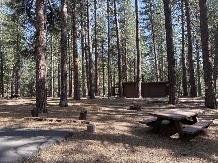 A photo of Site 004 of Loop LOO1 at GRASSHOPPER FLAT with Picnic Table, Fire Pit, Shade, Tent Pad