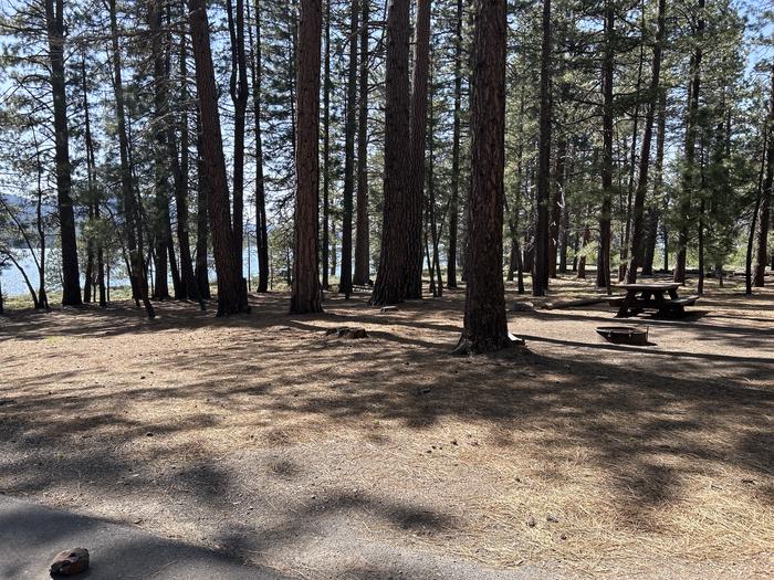 A photo of Site 016 of Loop LOO1 at GRASSHOPPER FLAT with Picnic Table, Fire Pit, Shade, Tent Pad, Waterfront