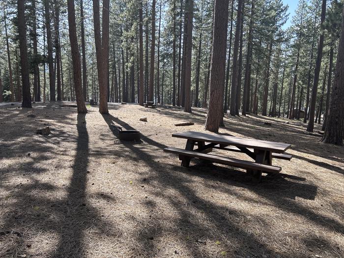 A photo of Site 008 of Loop LOO1 at GRASSHOPPER FLAT with Picnic Table, Fire Pit, Shade