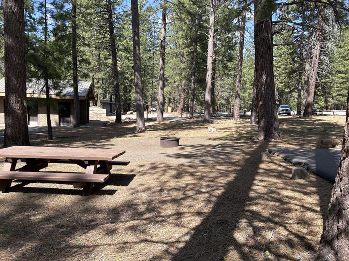 A photo of Site 015 of Loop LOO1 at GRASSHOPPER FLAT with Picnic Table, Fire Pit, Shade, Tent Pad