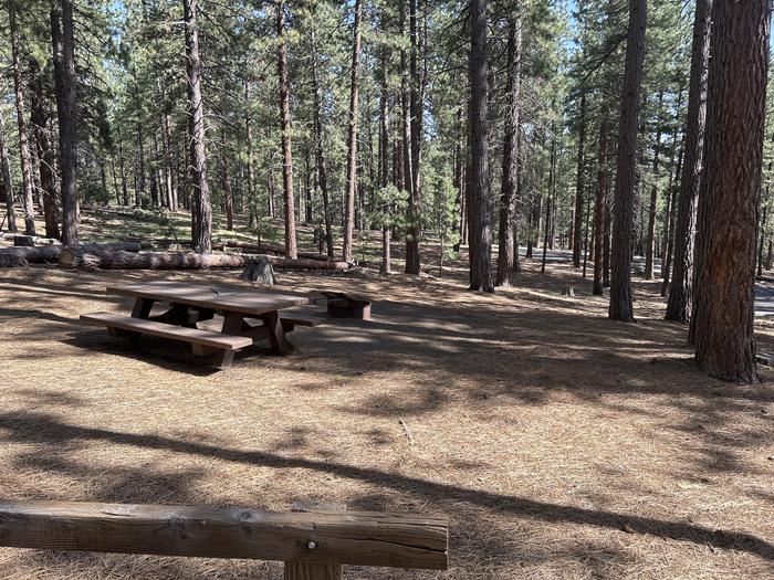 A photo of Site 009 of Loop LOO1 at GRASSHOPPER FLAT with Picnic Table, Fire Pit, Shade