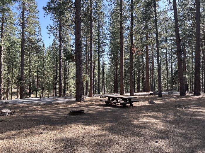 A photo of Site 032 of Loop LOO1 at GRASSHOPPER FLAT with Picnic Table, Sewer Hookup, Fire Pit, Shade