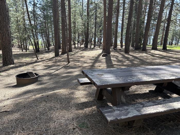 A photo of Site 024 of Loop LOO1 at GRASSHOPPER FLAT with Picnic Table, Fire Pit, Shade, Waterfront
