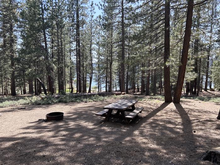 A photo of Site 027 of Loop LOO1 at GRASSHOPPER FLAT with Picnic Table, Fire Pit, Shade, Waterfront