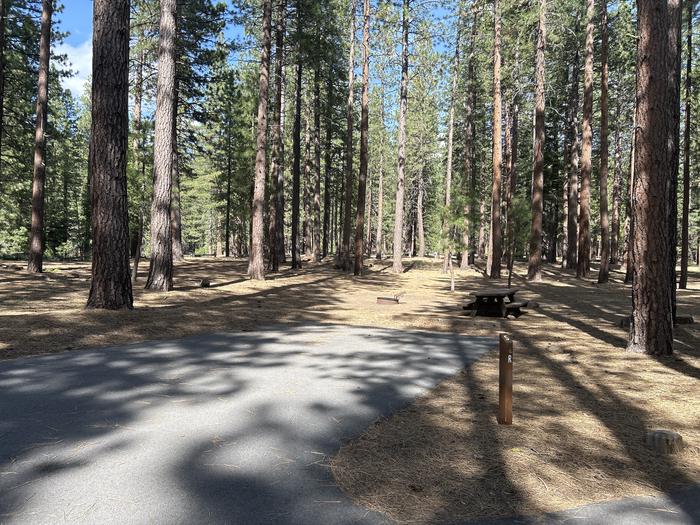 A photo of Site 005 of Loop LOO1 at GRASSHOPPER FLAT with Picnic Table, Fire Pit, Shade