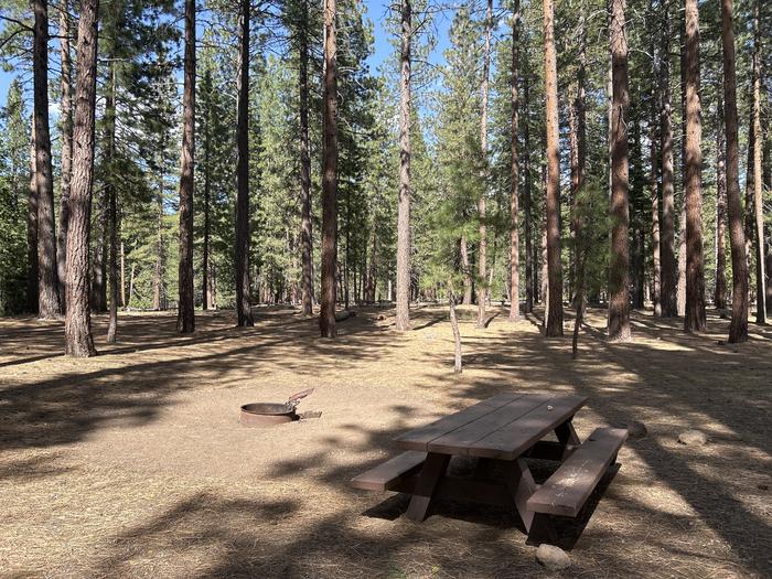 A photo of Site 005 of Loop LOO1 at GRASSHOPPER FLAT with Picnic Table, Fire Pit, Shade, Tent Pad