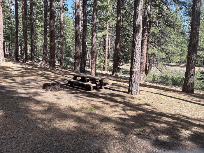 A photo of Site 001 of Loop LOO1 at GRASSHOPPER FLAT with Picnic Table, Fire Pit, Shade, Tent Pad