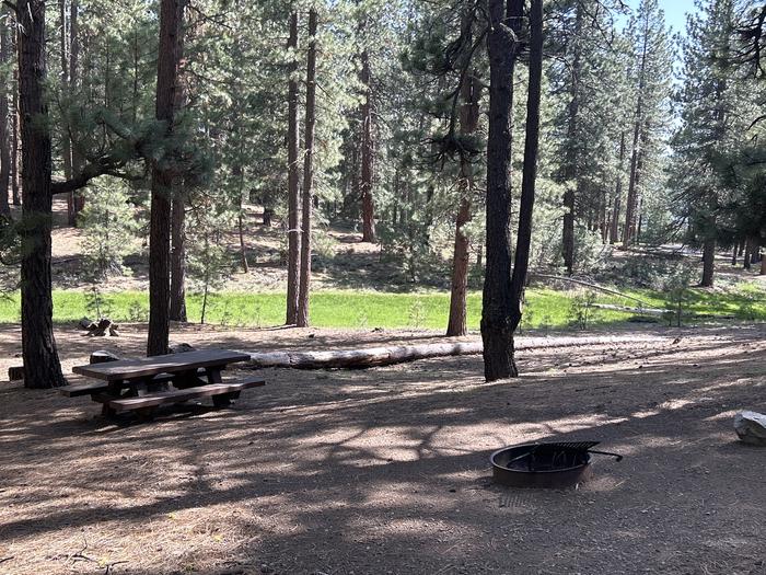 A photo of Site 033 of Loop LOO1 at GRASSHOPPER FLAT with Picnic Table, Fire Pit, Shade