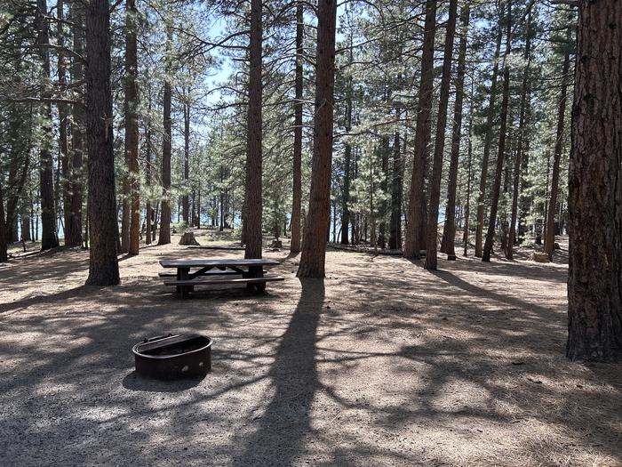 A photo of Site 025 of Loop LOO1 at GRASSHOPPER FLAT with Fire Pit, Shade, Tent Pad, Waterfront