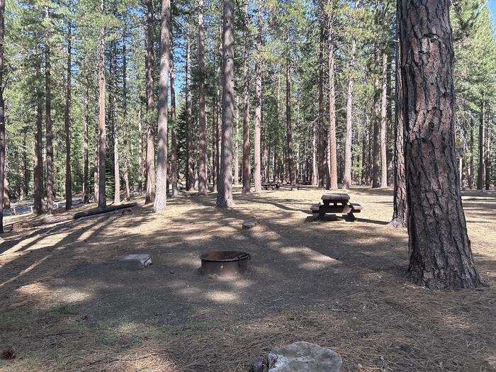 A photo of Site 010 of Loop LOO1 at GRASSHOPPER FLAT with Picnic Table, Fire Pit, Shade