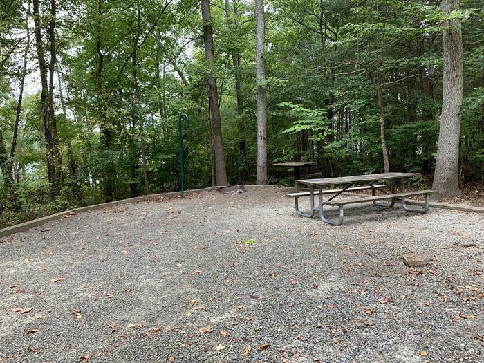A photo of Site 216 of Loop D at NORTH BEND PARK with Picnic Table, Fire Pit, Lantern Pole