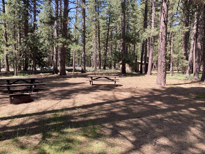 A photo of Site 030 of Loop AREA LIGHTNING TREE at LIGHTNING TREE with Picnic Table, Fire Pit, Shade, Tent Pad