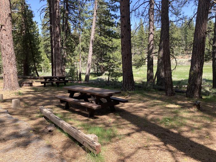 A photo of Site 034 of Loop AREA LIGHTNING TREE at LIGHTNING TREE with Picnic Table, Fire Pit, Shade