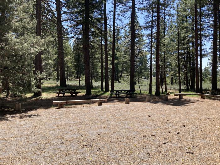A photo of Site 017 of Loop AREA LIGHTNING TREE at LIGHTNING TREE with Picnic Table, Shade, Tent Pad